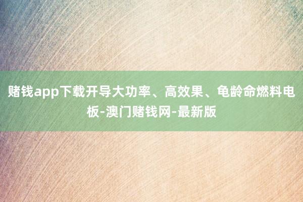 赌钱app下载开导大功率、高效果、龟龄命燃料电板-澳门赌钱网