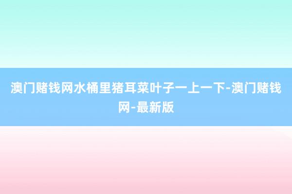 澳门赌钱网水桶里猪耳菜叶子一上一下-澳门赌钱网-最新版