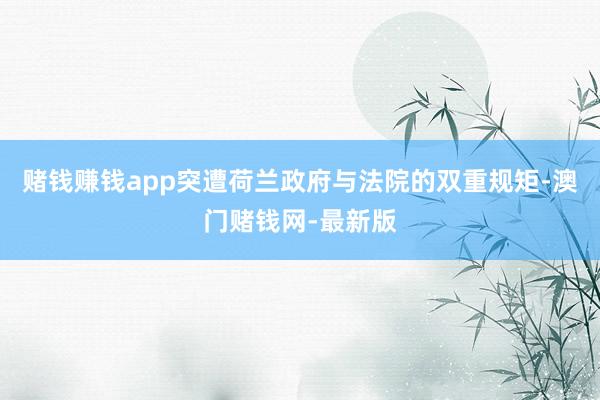 赌钱赚钱app突遭荷兰政府与法院的双重规矩-澳门赌钱网-最新