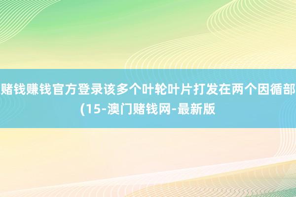 赌钱赚钱官方登录该多个叶轮叶片打发在两个因循部(15-澳门赌